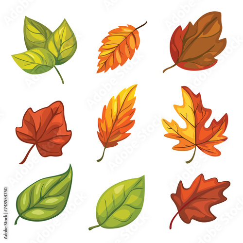 Autumn leaves vector isolated on white background ca