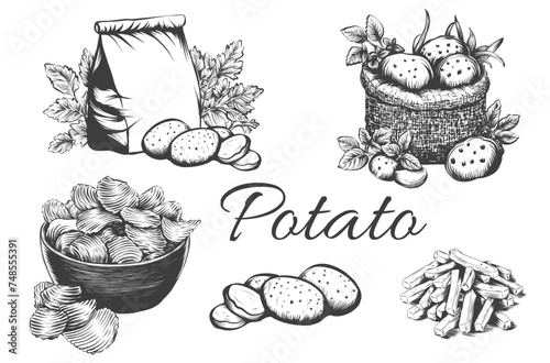 Set of hand drawn potatoes on white background. Collection chips, slice, French fries, ripe potatoes in burlap bag engraved imitation vintage sketch for packaging, recipes, menu, organic farm products