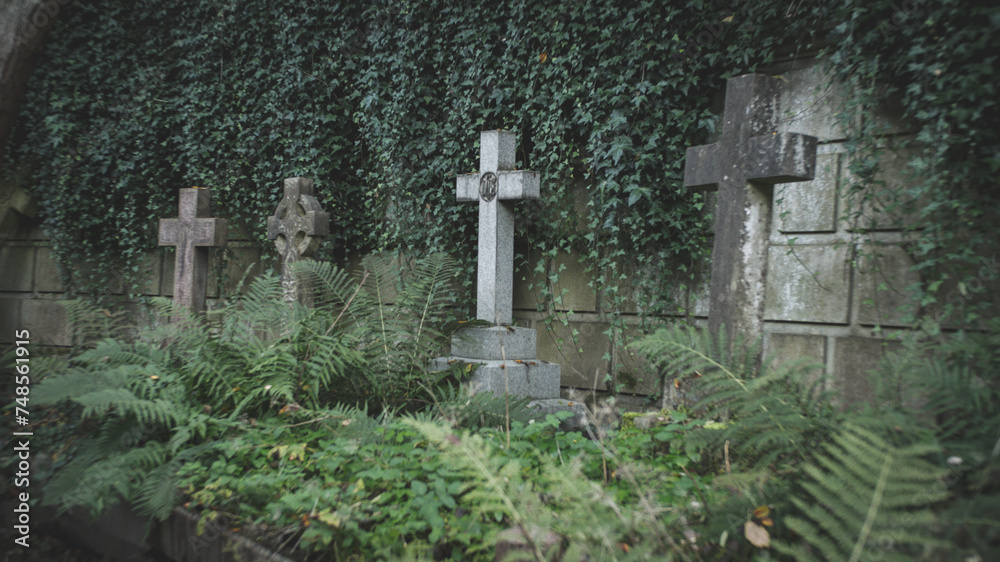 Four weathered crosses stand against a wall, surrounded by ivy, symbolizing enduring legacy and the passage of time within the embrace of nature's growth