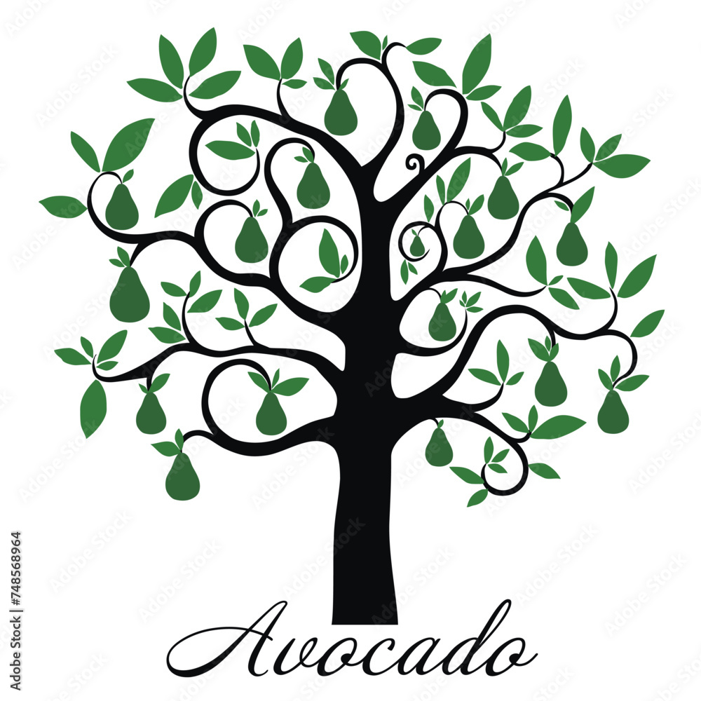 Avocado tree isolated on white background. Vector Illustration Avocado tree isolated on white background. Vector Illustration