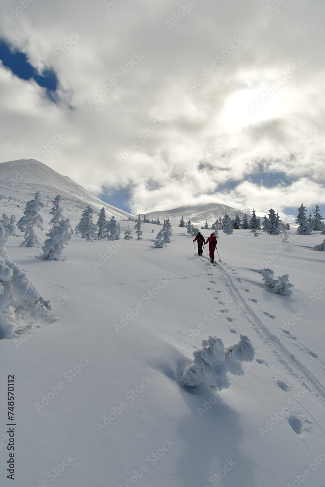 Ski Touring Hokkaido Japan Biei Fuji Blue sky Mountain Scene Forest Snow