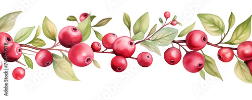 Watercolor background banner of cranberries isolated on a white background as transparent PNG photo