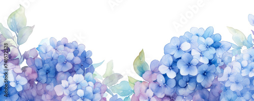 Watercolor background banner of hydrangea isolated on a white background as transparent PNG