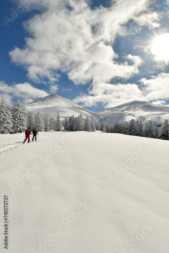 Ski Touring Hokkaido Japan Biei Fuji Blue sky Mountain Scene Forest Snow photo