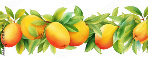Watercolor background banner of mango isolated on a white background as transparent PNG