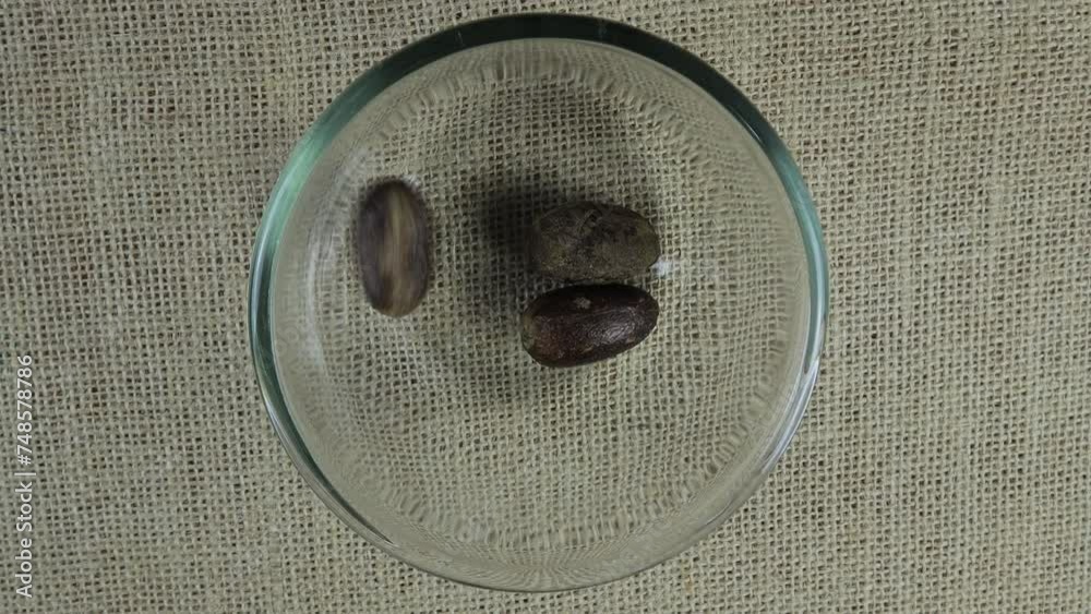 Top view of Nutmeg poured into a glass bowl Top view of Nutmeg poured into a glass bowl