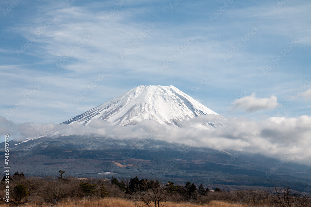 Fototapeta premium 朝霧高原の富士山