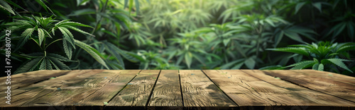 Empty wood table with free space over cannabis trees, cannabis field background. For product display montage photo