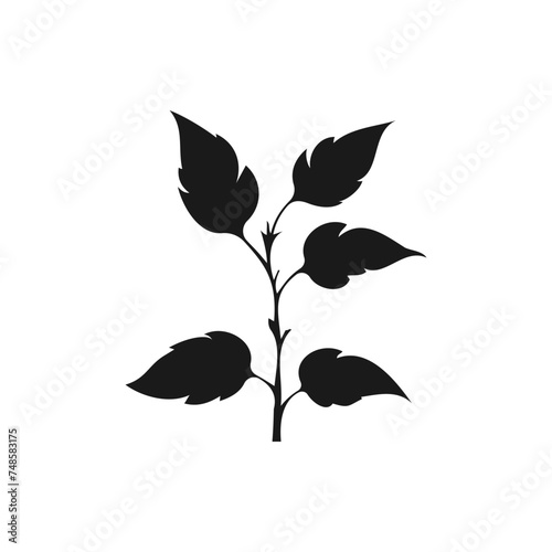 Leaf, plant. Foliage icon flat style isolated on white background. Vector illustration