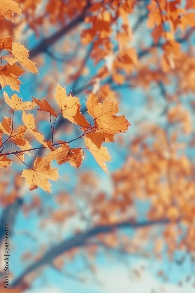 Close up of a leafy tree with a blue sky background. Suitable for nature and outdoor themes Close up of a leafy tree with a blue sky background. Suitable for nature and outdoor themes
