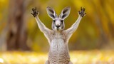a close up of a kangaroo with it's arms in the air and it's legs in the air.