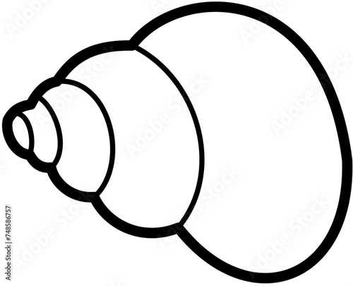 Exotic sheashell doodle beach sand