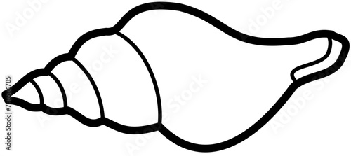 Exotic sheashell doodle beach sand