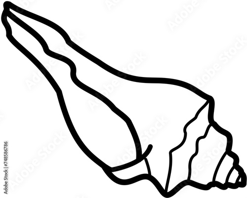Exotic sheashell doodle beach sand