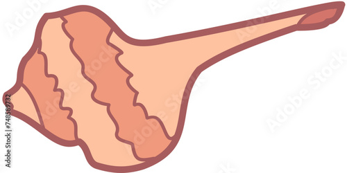 Exotic sheashell doodle beach sand