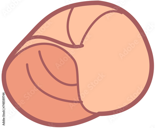 Exotic sheashell doodle beach sand