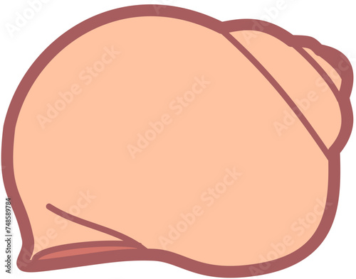 Exotic sheashell doodle beach sand