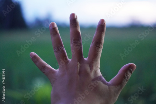 Hands on the sky background. Five fingers gesture. Nature background