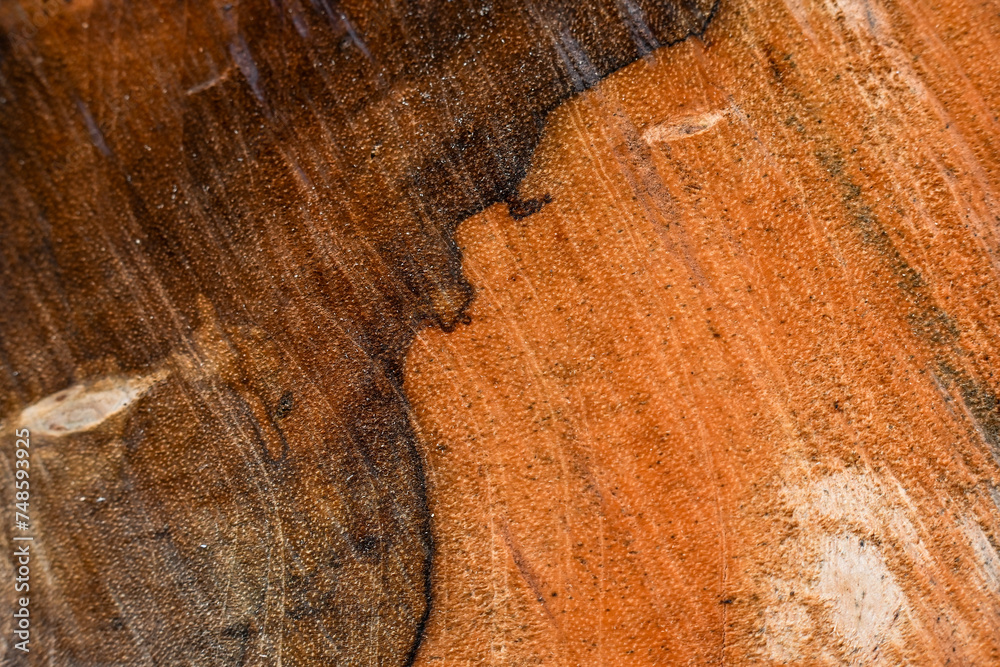 Fototapeta premium old wood background