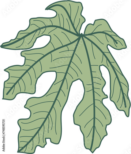 Doodle green leafs, kale, vegetarian