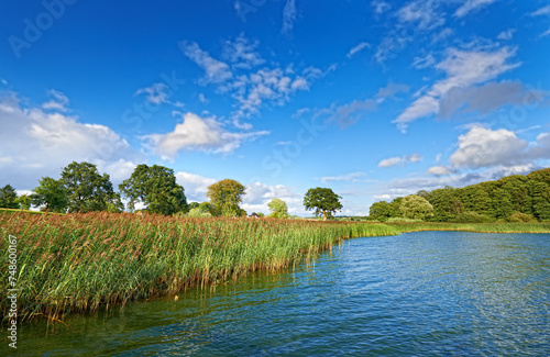 Nature  blue sky and lake with trees for environment  ecosystem and ecology outdoors. Natural background  landscape and aerial of water for scenic view  travel destination and terrain in countryside