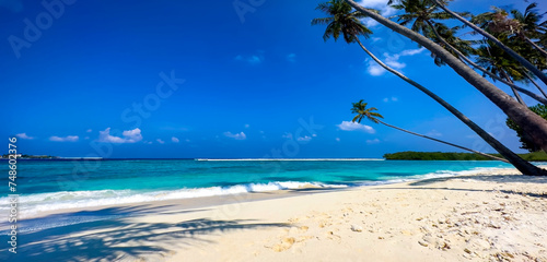 Fototapeta Naklejka Na Ścianę i Meble -  Banner travel with summertime with palm tree and Tropical beach with blue of seashore background