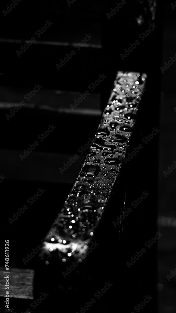 The chair's railing collects droplets after the rain, each bead a testament to nature's transient artistry, inviting reflection on the beauty found in the aftermath of a passing shower The chair's railing collects droplets after the rain, each bead a testament to nature's transient artistry, inviting reflection on the beauty found in the aftermath of a passing shower