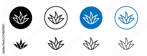 Aloe Vera Line Icon Set. Plant Agave Medical Symbol in Black and Blue Color. photo