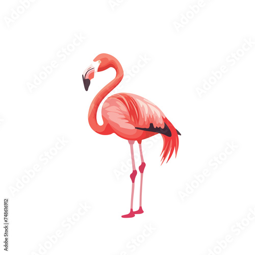 Illustrations of flamingo action logo on white background