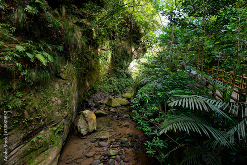 Gorgeous canyon by the river with many plants, and trail by the side, in Nuandong Valley, Keelung city, Taiwan.