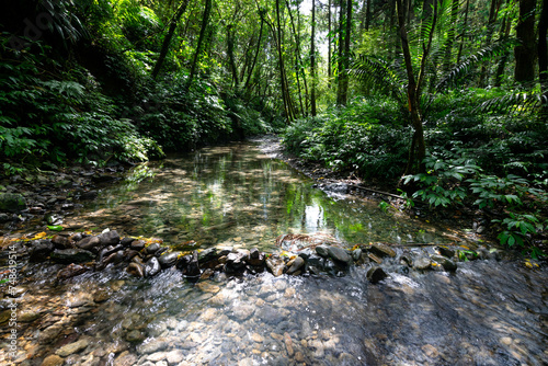 Wallpaper Mural Sunshine on the cold clean water, stream from the deep forest with many green plants, in Shuang-xi, New Taipei City, Taiwan. Torontodigital.ca