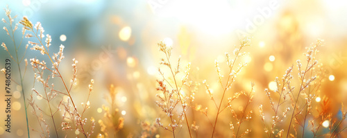 Close up of backlit grass with bright sun bokeh, Glowing natural summer country scenery background | Generative AI