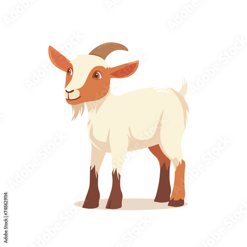 Little goat isolated on white. Domestic livestock. 