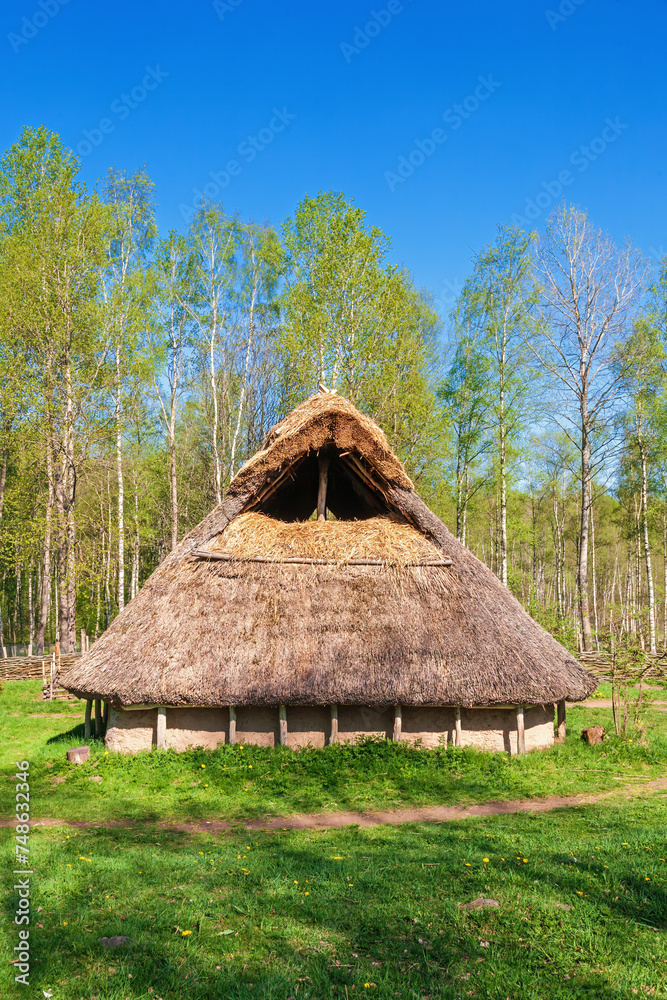 Longhouse with thatched roof on a meadow