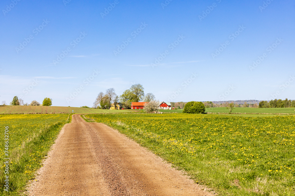 Dirt road in a beautiful rural landscape at springtime