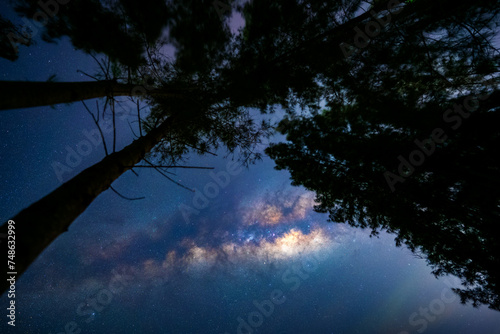 The Milky Way and the star with a blur pine trees forest silhouette in the foreground