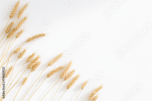 Several stalks of wheat arranged diagonally on a white