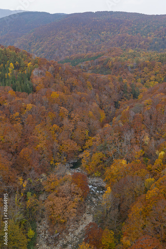 日本 青森県青森市の十和田八幡平国立公園内にある城ヶ倉大橋から見える城ヶ倉渓流の紅葉