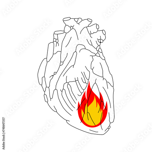 Fire in heart. Flame in an anatomical heart. Concept burning heart symbol of hope © maryvalery