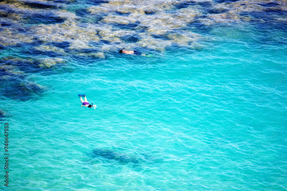 Water, drone and people with snorkeling at the beach for summer, vacation or swimming. Freedom, travel and aerial view of swimmer friends in the ocean exploring coral reef, seascape or environment