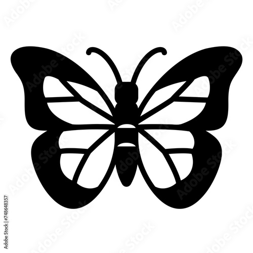Beautiful butterfly icon in the insect family