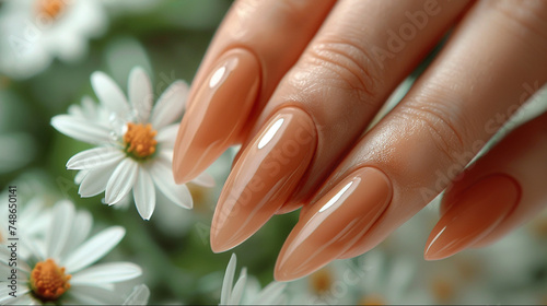 Elegant fingers with long brown nails on a background of camomile flowers. Manicure salon business banner concept.