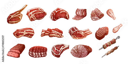 Set of hand-drawn colored sketches of different types of meat, steaks, chicken, kebabs, bacon, tenderloin, pork, beef, ham, barbecue. Vintage illustration on white background.