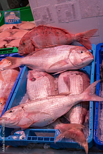 Urta or rock sama, Pagrus auriga, wild rock fish, family of the sea bream or bream, fresh, recently unloaded from the boats and for sale in a market in a Spanish coastal city. Huelva, Spain. photo