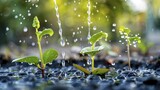 How to integrate sustainable water saving systems into your home, from rainwater harvesting to greywater recycling