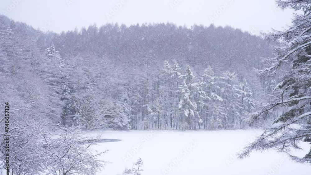吹雪の御射鹿池(みしゃかいけ)のスローモーション映像 吹雪の御射鹿池(みしゃかいけ)のスローモーション映像