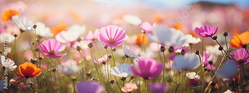 Meadow with vibrant flowers and a blurred background  creating a picturesque floral Banner