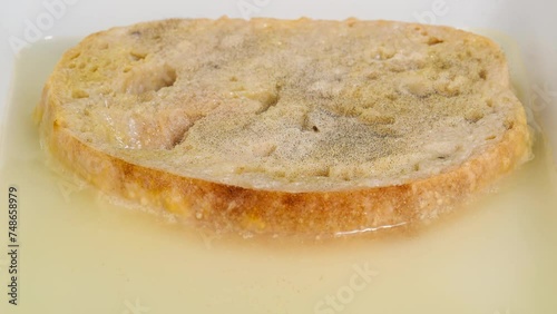 mold forming on slice of bread in water time lapse
