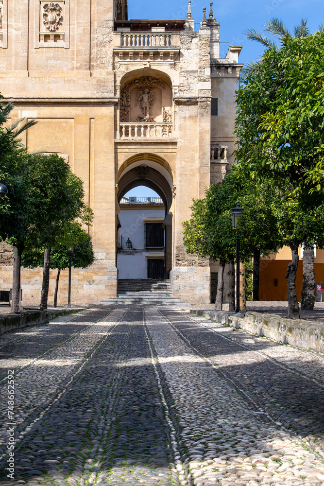 Cobblestone black and white footpath leading to pedestrian tunnel of Bell Tower next to the Mosque–Cathedral of Cordoba, Andalusia, Spain seen from the patio de los naranjos (orange trees)