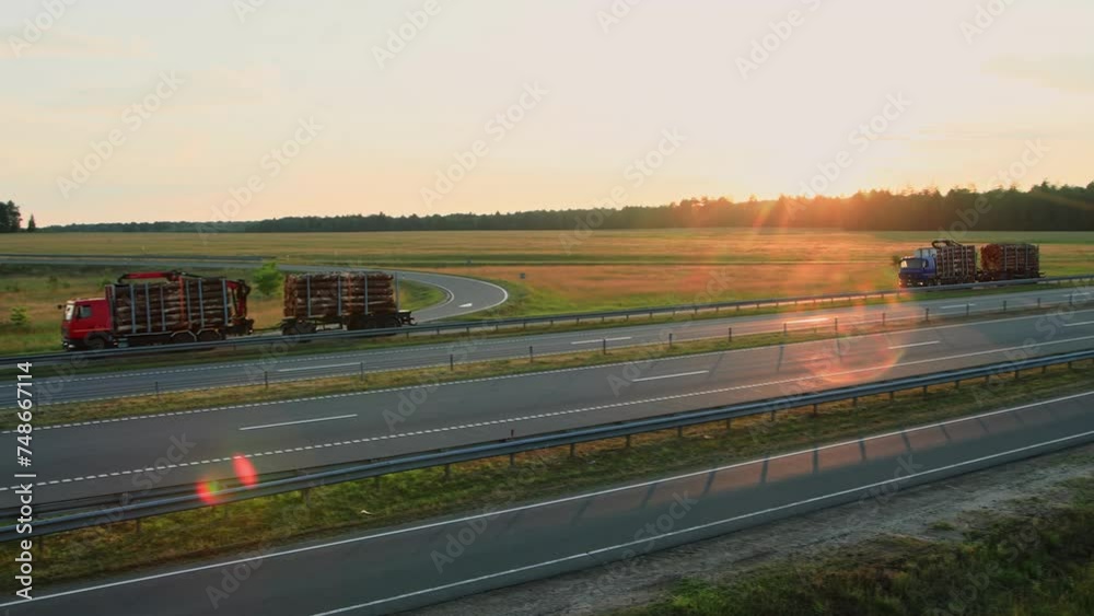 Russian logging trucks, two timber lorry hauling forest logs on semi-trailer on countryside highway at sunset. Commercial Timber Transport. Tractor full of trees wood. Import export. Delivery vehicle Russian logging trucks, two timber lorry hauling forest logs on semi-trailer on countryside highway at sunset. Commercial Timber Transport. Tractor full of trees wood. Import export. Delivery vehicle